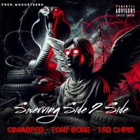 Swerving Side 2 Side (feat. Tony Bone & TSD Chris) - Single - GinjaBred