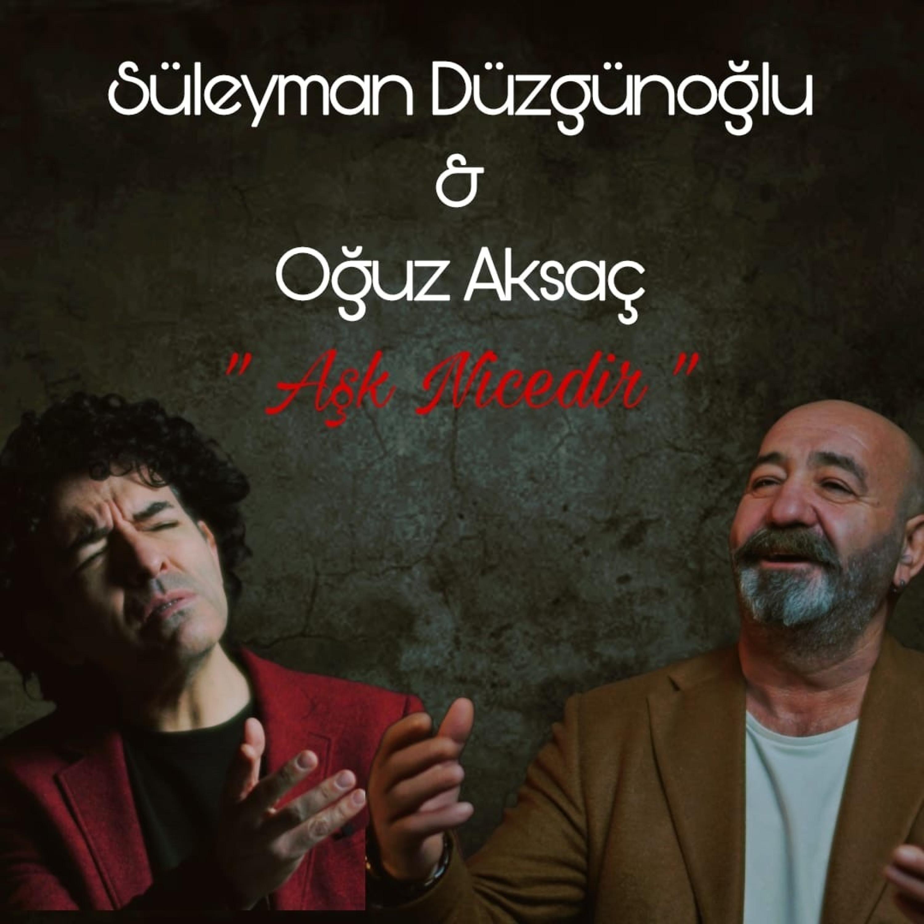 Aşk Nicedir - Single