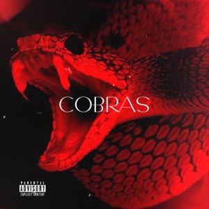 COBRAS (feat. Rabelean & MC Magrin da ZS)