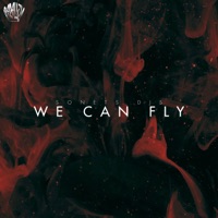 We Can Fly - Single - SONETS DJS