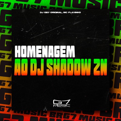 Slide Homenagem ao Dj Shadow Zn (feat. MC Flavinho) - Single