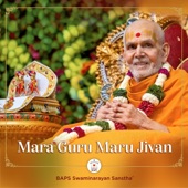 Agam Nigam Pan Sant Tana artwork
