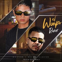 El Wuapo (Alternate Mix) - Single - Ricosur & Mic Delincuente