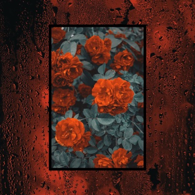 you say (love) - instrumental - Single