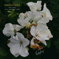 Marchitados - Single - Arilo Richy, A.K.A. Guadalupe Alfaro & As De Guía