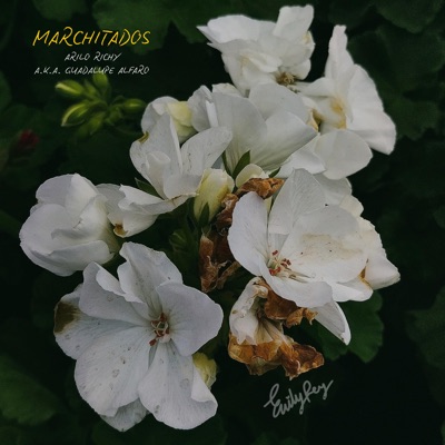 Marchitados - Single