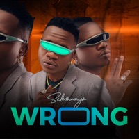 Wrong - Single - Selemanyo