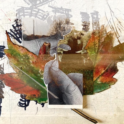 Company of Healing - Single