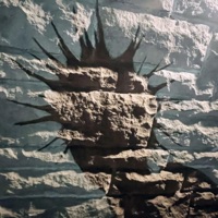 Need Me (feat. Bandanna$aint) - Single - chuxx