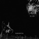 Hounds Lions EP