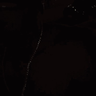 Put It On Me (feat. Khomani) - Single