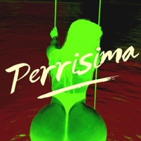PERRISIMA (Slow Down) - Single - Lyry