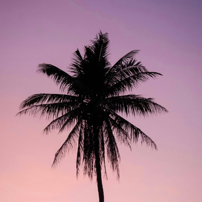 Great nights - Single