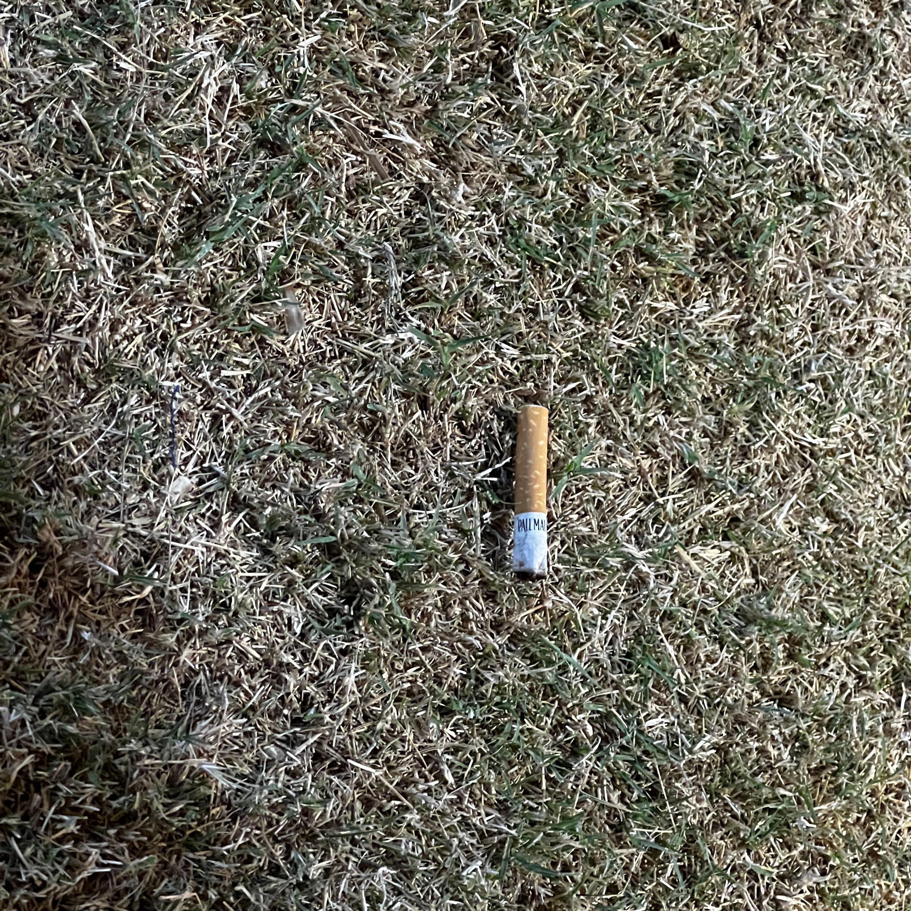 17 Cuantame - Formula V