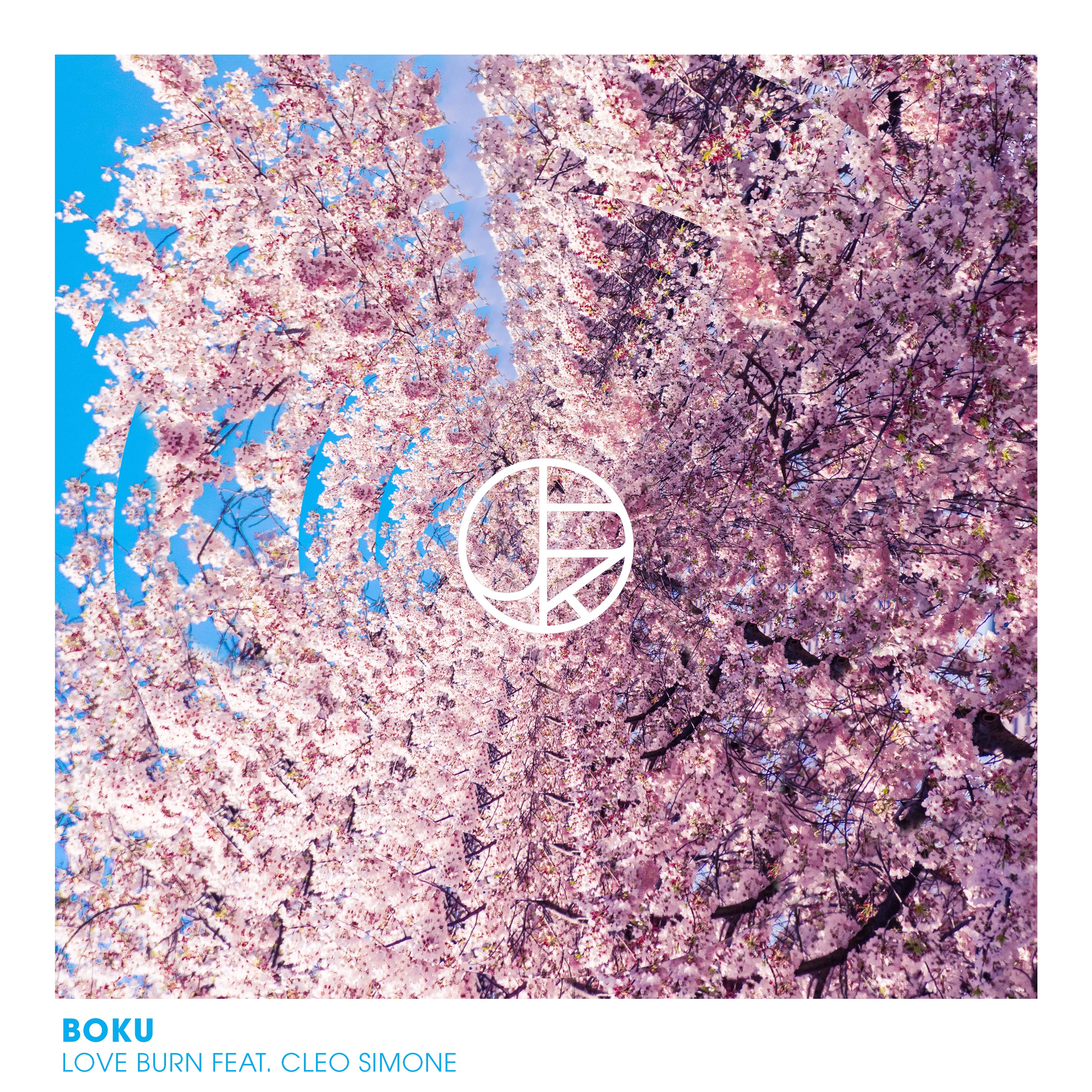 Love Burn (feat. Cleo Simone) - Single