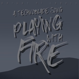 Playing With Fire - Single