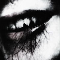 get a taste - Single - dollreal