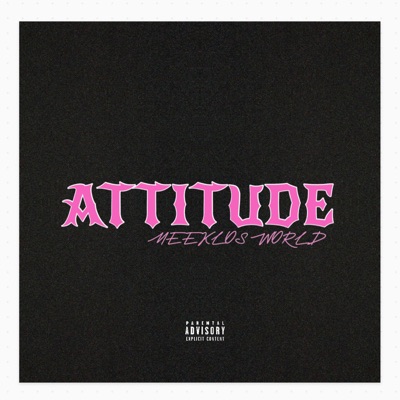 ATTITUDE - Single