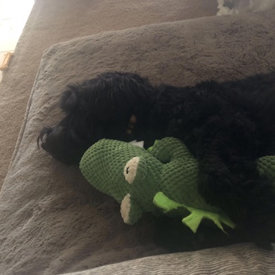 alt acc (feat. Kayro) - Single