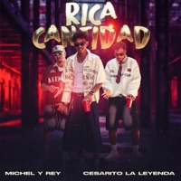 Rica Cantidad (feat. Cesarito La Leyenda) - Single - Michel y Rey