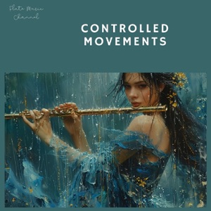 Controlled Movements