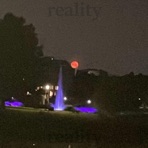 reality - Single
