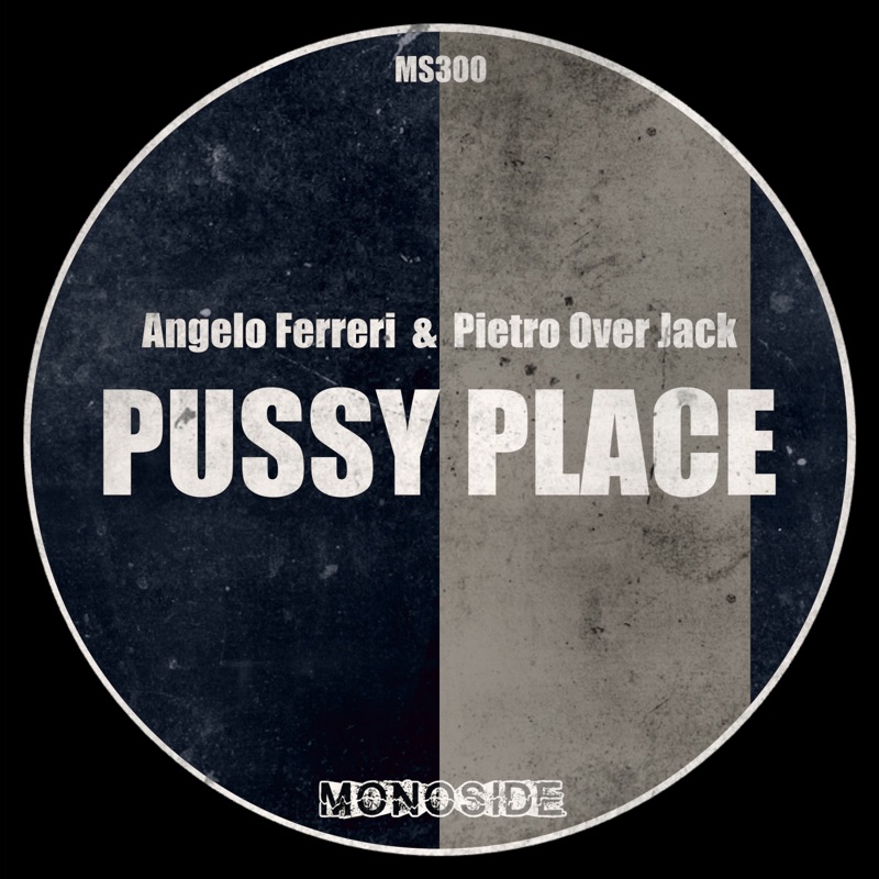Pussy Place (Attraction Mix)