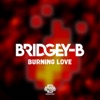 Burning Love - Single