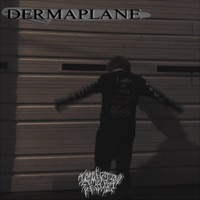 Dermaplane - Single - Apostle Ginseng