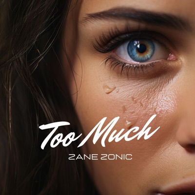 Too Much (Radio Edit) - Single