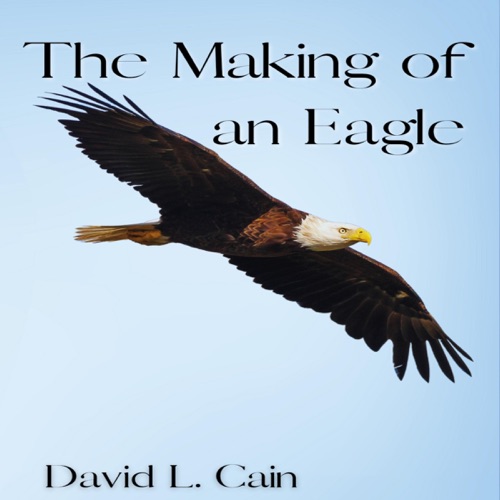The Making of an Eagle (Unabridged) cover