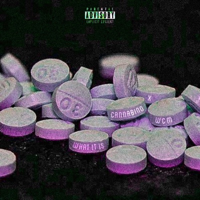 What It Is (feat. WCM) - Single