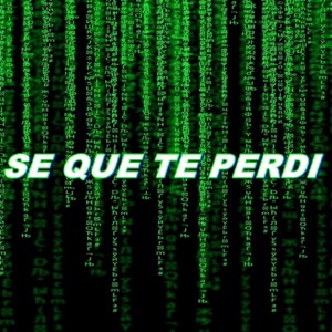 Se Que Te Perdí