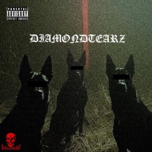 MemoryNotFound (feat. djsb129)