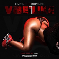 Vibe I Like - Single - Polo Paul & Prezzy Pacino