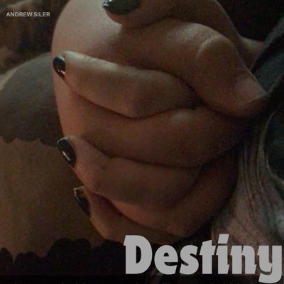 Andrew Siler - Destiny