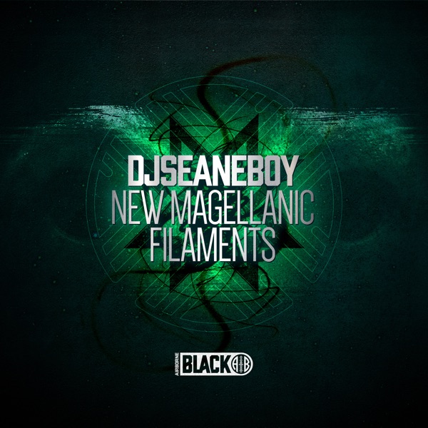New Magellanic Filaments - EP
