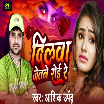 Dilwa Jetane Roi Re - Single