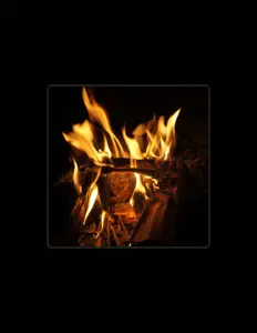 Gonca Öncel dinle, müzik videolarını izle, biyografisini oku, tur tarihlerini ve daha fazlasını gör!