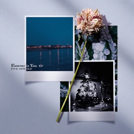Forever is You FIVE NEW OLD