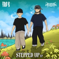 STEPPED UP - Single - Head$tash & Trip B