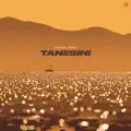 TANESINI