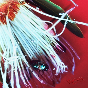 Velvet Petals - EP