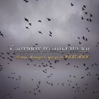 Улетают птицы на юг (feat. гр НИКОТИН) - Single - Ренат Мансуров