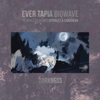 Darkness Remixes - Single - Ever Tapia & BioWave