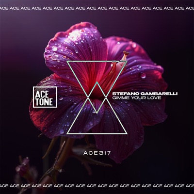 Gimme Your Love - Single