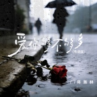 爱你够不够多 (粤语女版) - Single - 蒋蕙林