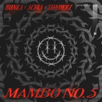 Mambo No. 5 - Single - Bonka, Acina & THNDERZ