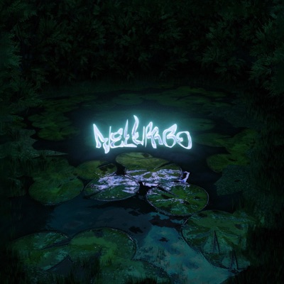 Nelumbo - Single