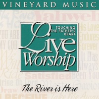 The River Is Here, Vol. 20 (Live) - Vineyard Music & Andy Park